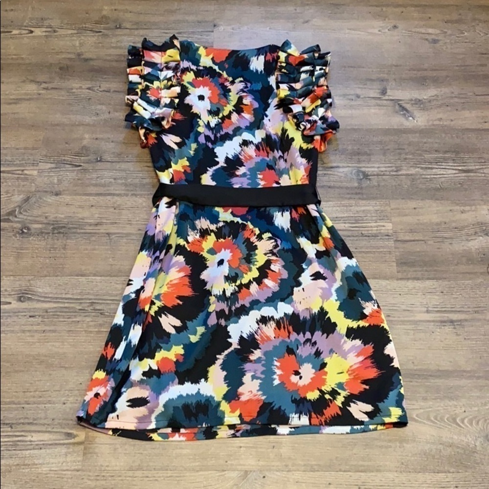 Jade Colorful Burst Ruffled Flutter Cap Sleeve A-… - image 6